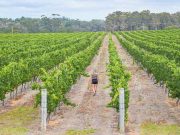 Margaret River Wine Tour A Tour Package That You Must Select